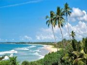 Pleasurable 6 Days 5 Nights Yala Holiday Package