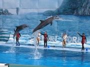 Amazing 11 Days 10 Nights Singapore Tour Package