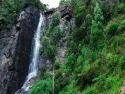 5 Days 4 Nights Nuwara Eliya, Yala and Hikkaduwa Holiday Package