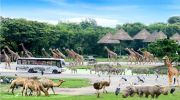 Memorable 6 Days 5 Nights Bangkok Tour Package