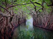6 Days 5 Nights Negombo to bentota Tour Package