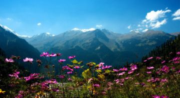 4 Days 3 Nights Delhi to Manali Vacation Package