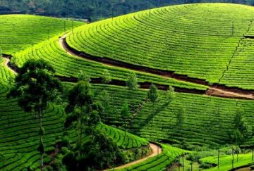 Magical 5 Days 4 Nights Thekkady Culture Vacation Package