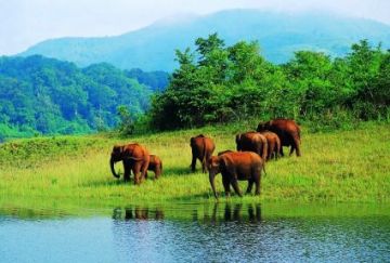 Magical 5 Days 4 Nights Thekkady Culture Vacation Package