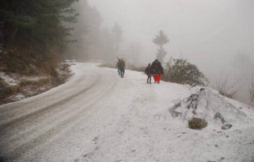 Ecstatic Shimla Hill Stations Tour Package for 2 Days from Delhi