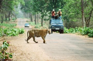 Nagpur