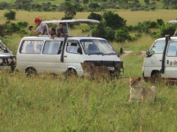 Memorable 8 Days 7 Nights Masai Mara, Lake Nakuru, Lake Naivasha with Amboseli National Park Tour Package