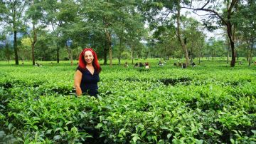 SILIGURI DARJEELING PELLING KALIMPONG TOUR 4 NIGHTS 5 DAYS