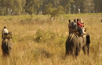 Best 3 Days 2 Nights Kanha with Jabalpur Vacation Package