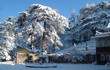 Heart-warming Shimla Tour Package for 3 Days 2 Nights