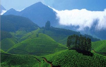 Pleasurable 5 Days 4 Nights Munnar Tour Package