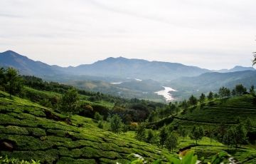 Pleasurable 4 Days 3 Nights Munnar, Thekkady with Alleppey Holiday Package