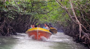 Experience NEIL ISLAND Tour Package for 6 Days 5 Nights from Port Blair