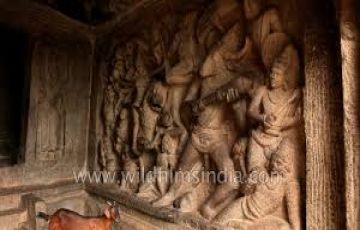 Ecstatic 3 Days Chennai to Chennai - Kanchipuram - Mahabalipuram - Chennai Trip Package