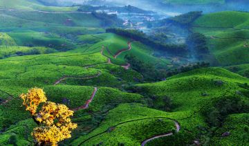 Amazing 4 Days 3 Nights Thekkady Shopping Vacation Package