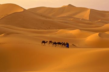 Experience 2 Days 1 Night Jaisalmer Offbeat Holiday Package