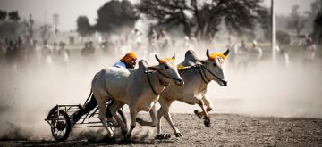Magical 2 Days Punjab Culture And Heritage Holiday Package