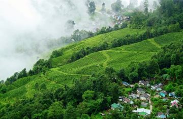 2 Days 1 Night Darjeeling Family Trip Package