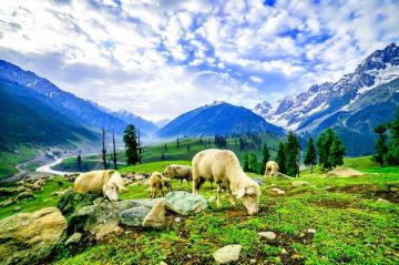 6 Days 5 Nights Srinagar, Pahalgam, Gulmarg with Sonmarg Rafting Vacation Package