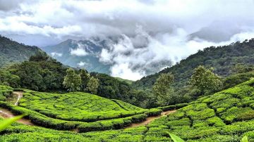 Pleasurable 4 Days 3 Nights Munnar Beach Trip Package