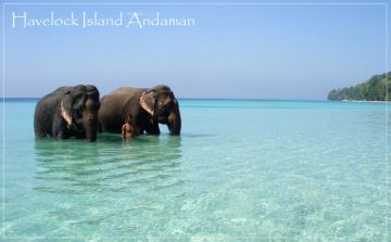 Ecstatic 6 Days Andaman And Nicobar Islands Cruise Trip Package