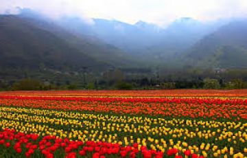 Heart-warming Kashmir Tour Package for 6 Days 5 Nights