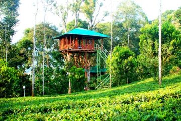 Pleasurable 5 Days Kochi to Munnar Vacation Package