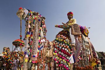 Heart-warming 8 Days 7 Nights Jaisalmer Nature Tour Package