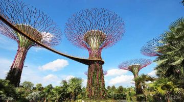 Beautiful 6 Days Singapore Shopping Holiday Package