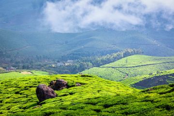 Experience 4 Days 3 Nights Munnar Thekkady Tour Package