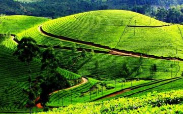 Best 4 Days 3 Nights Darjeeling Hill Stations Trip Package