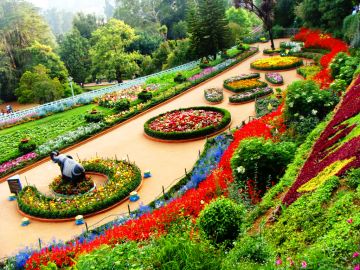 Family Getaway 3 Days Ooty River Trip Package