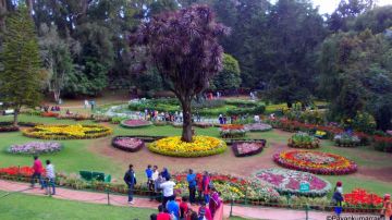 Family Getaway 3 Days Ooty River Trip Package