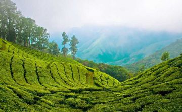 Best 5 Days Munnar Wildlife Holiday Package