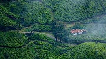 Heart-warming 5 Days Delhi, Mumbai, Etc to Thekkady Wildlife Vacation Package