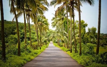 Beautiful Goa Tour Package from Goa, India