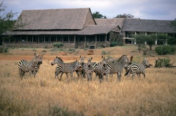 Amazing 3 Days Maasai Mara Nationa Reserve, Maasai Mara National Reserve and Nairobi Holiday Package