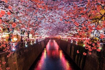 Magical 6 Days 5 Nights Tokyo Trip Package