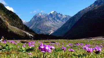 New Jalpaiguri, Lachen, Lachung with Gangtok Tour Package for 5 Days from New Jalpaiguri