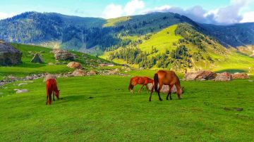 Experience 7 Days Pahalgam, Gulmarg with Srinagar Vacation Package