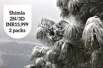 Magical 3 Days Shimla with Delhi Holiday Package