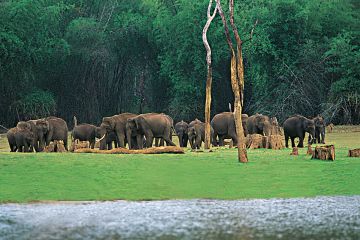 7 Days 6 Nights Alleppey to Thekkady Tour Package