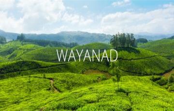 Heart-warming 3 Days Calicut and Wayanad Tour Package