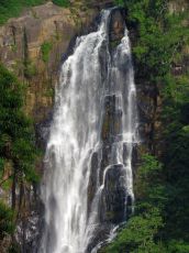 Pleasurable Nuwara-eliya Tour Package from Negombo