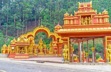 Pleasurable Nuwara-eliya Tour Package from Negombo