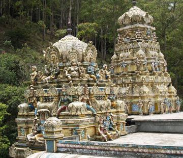 Pleasurable Nuwara-eliya Tour Package from Negombo