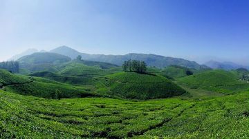 Amazing 3 Days 2 Nights Cochin with Munnar Holiday Package