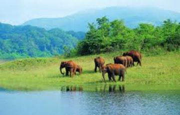 Heart-warming 6 Days Munnar, Thekkady with Alleppey Tour Package