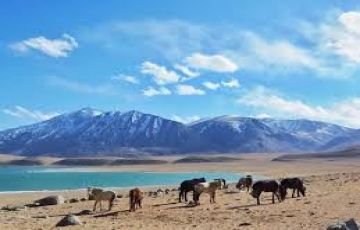 Pleasurable 7 Days 6 Nights Leh Tour Package