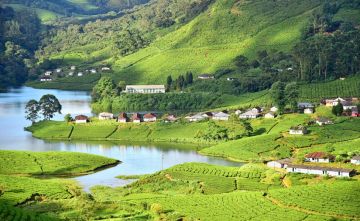 Pleasurable Munnar Tour Package for 6 Days